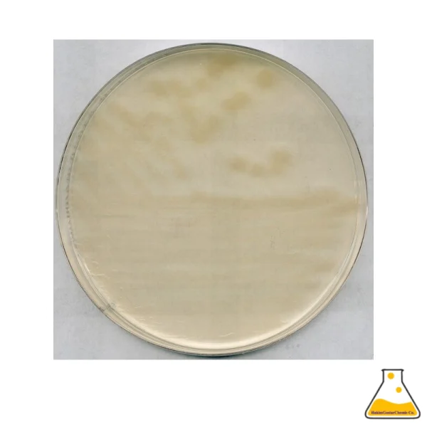 R2A Agar for microbiology