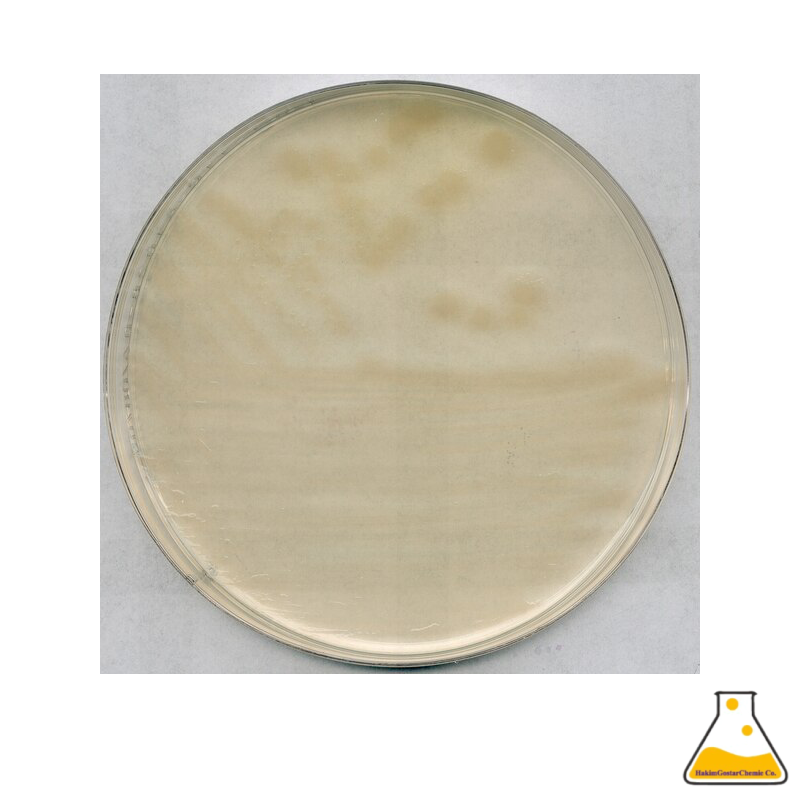 R2A Agar for microbiology